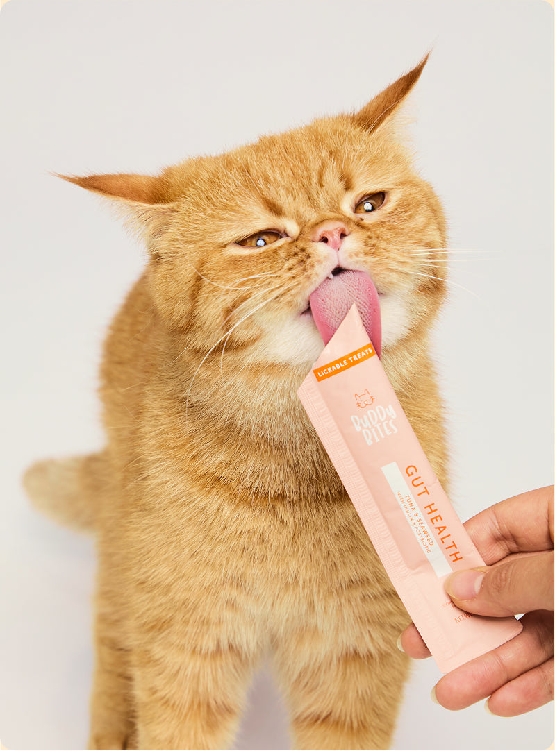 Cat Lickable Treats - Gut Health - Tuna with Seaweed Box 15gx7