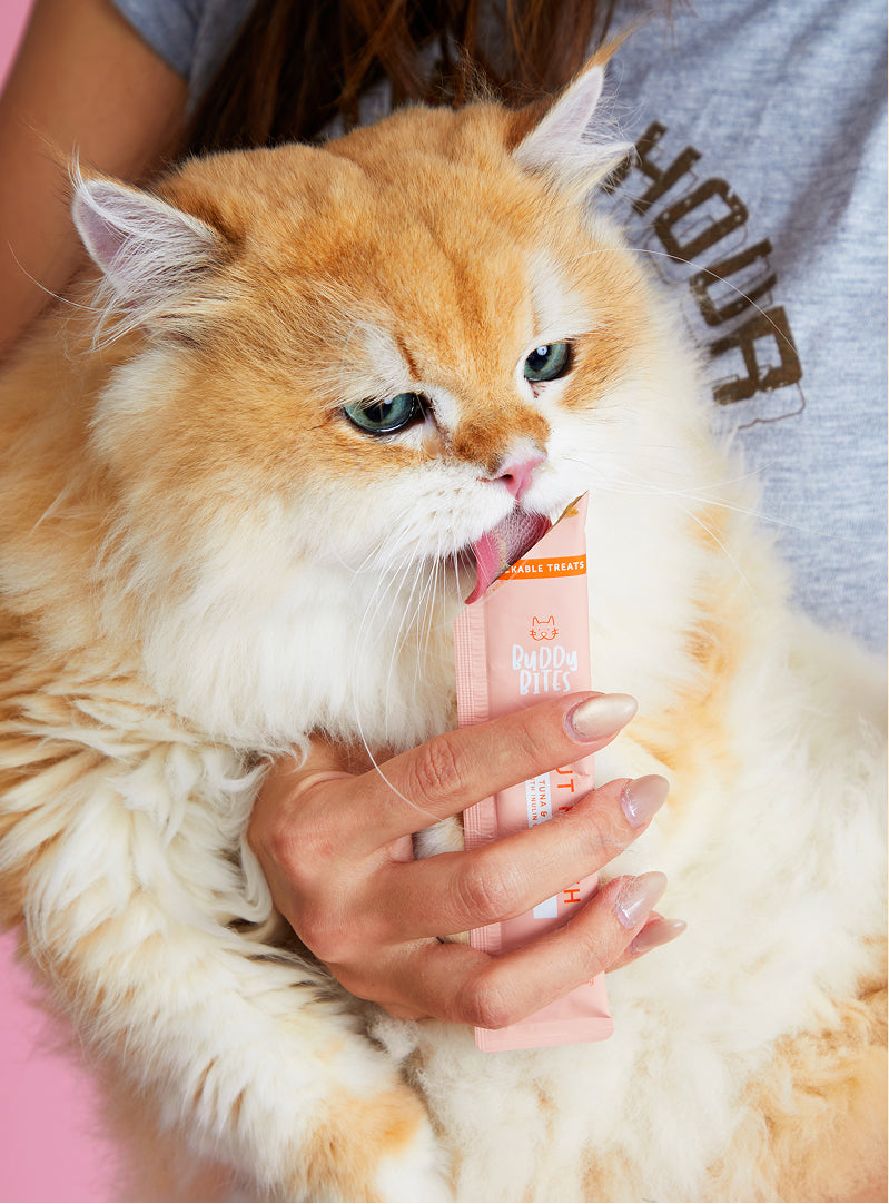 Cat Lickable Treats - Gut Health - Tuna with Seaweed Box 15gx7