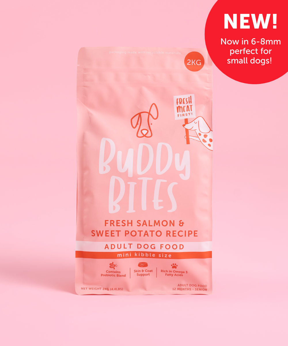 Adult Mini Salmon Dry Food