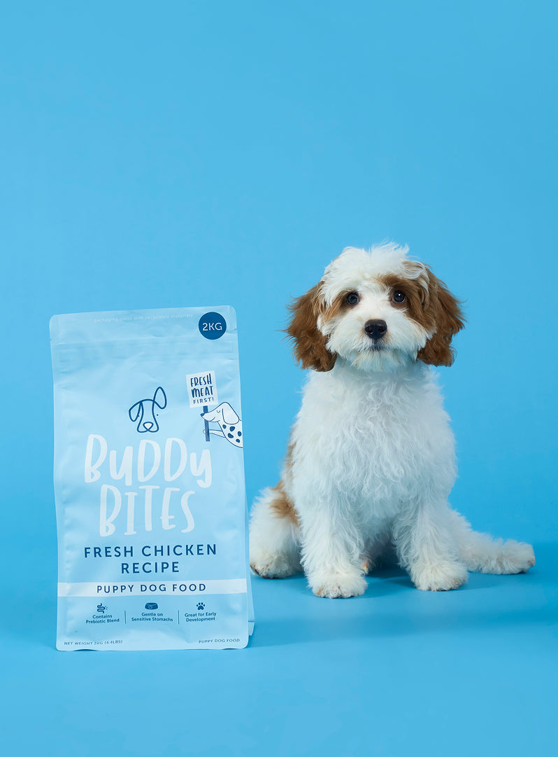 Puppy Dry Food