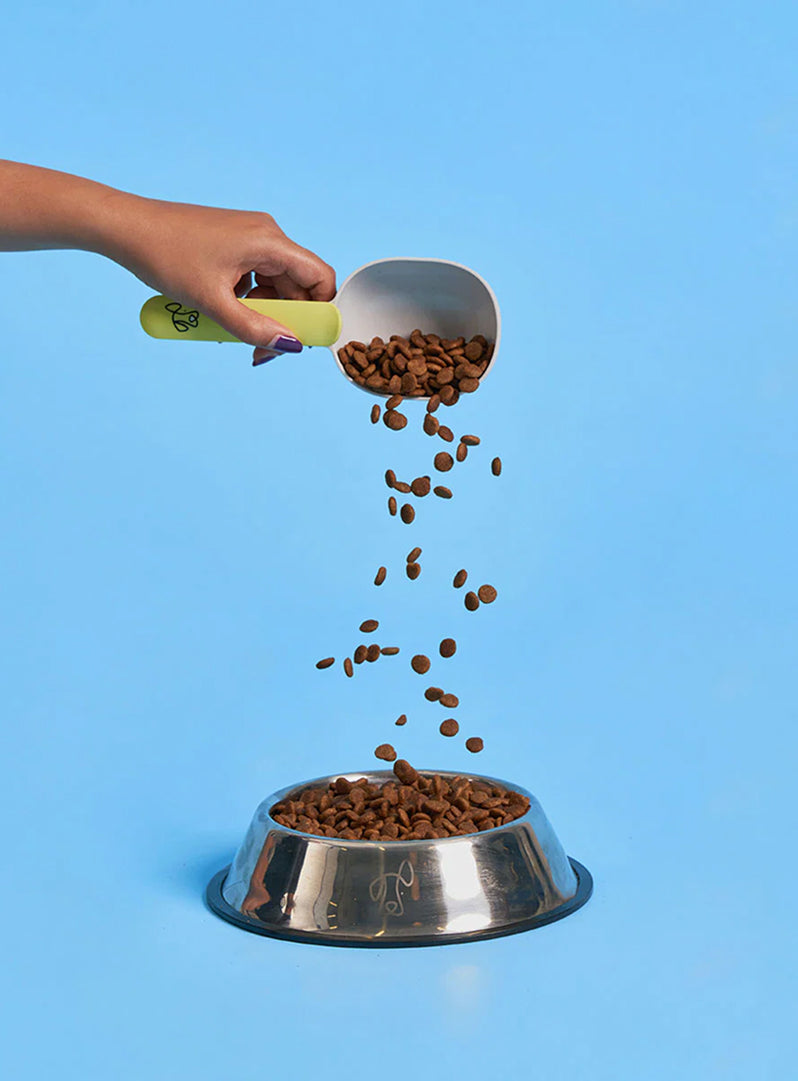 Puppy Dry Food