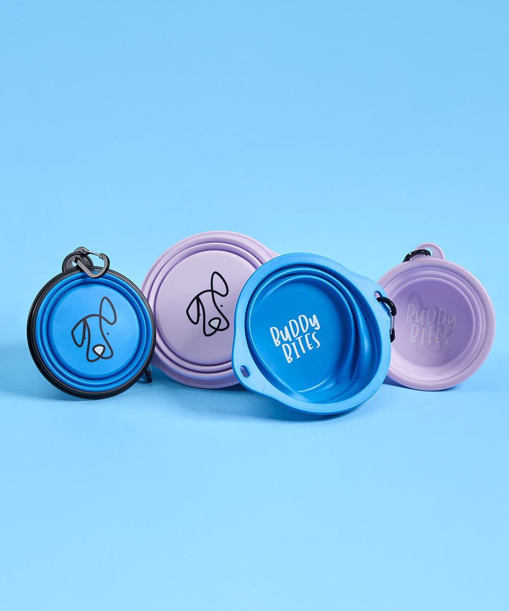 Small Portable Dog Bowl