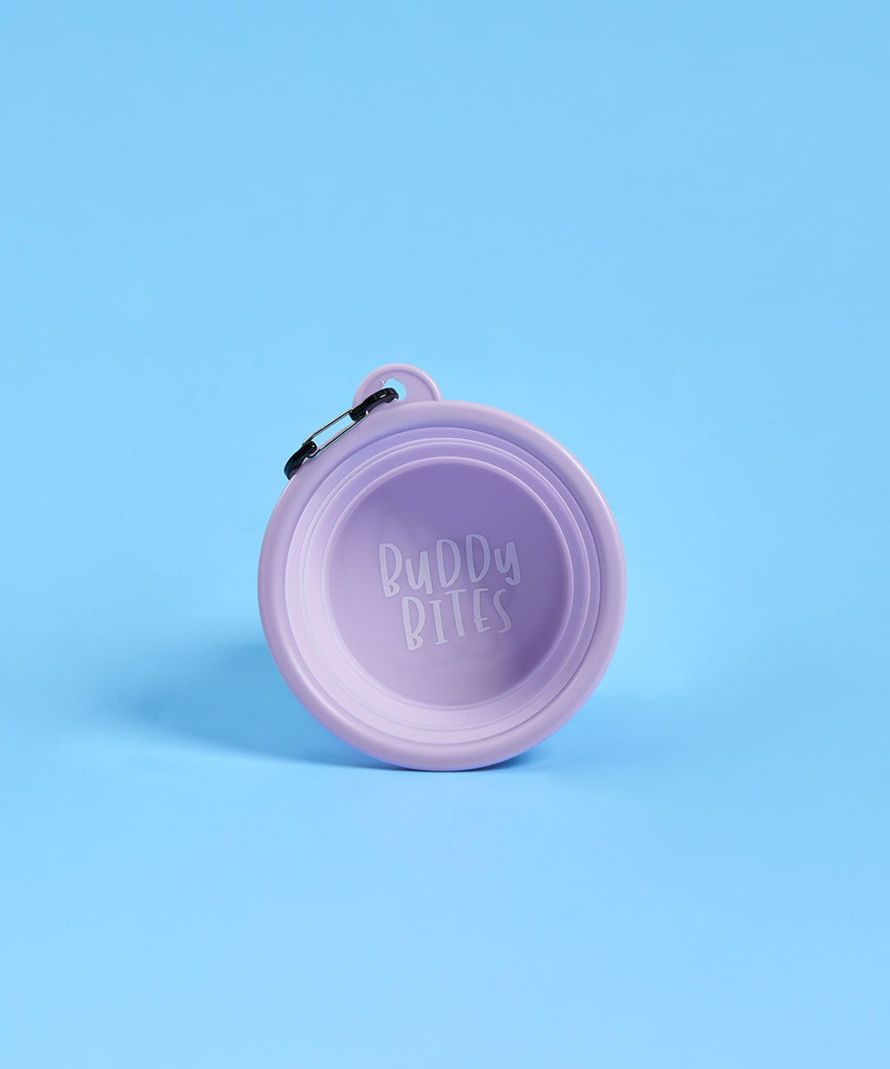 Small Portable Dog Bowl