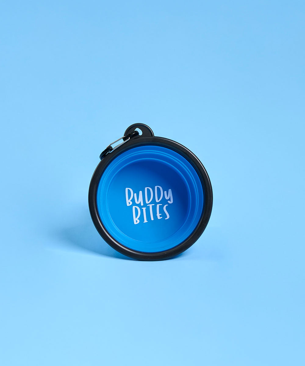 Small Portable Dog Bowl