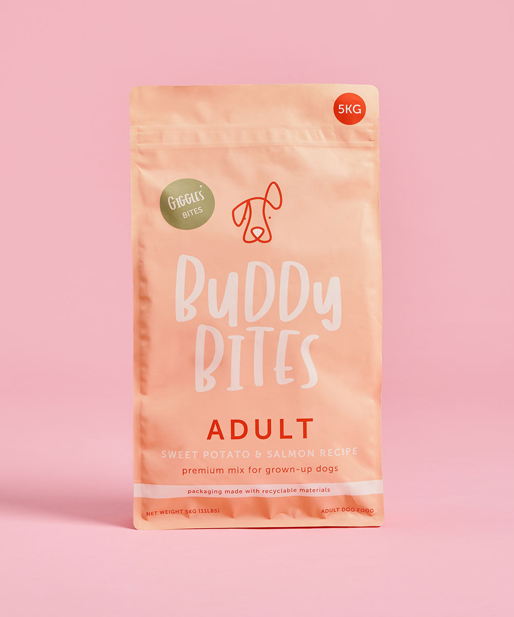 Adult Salmon Dry Food