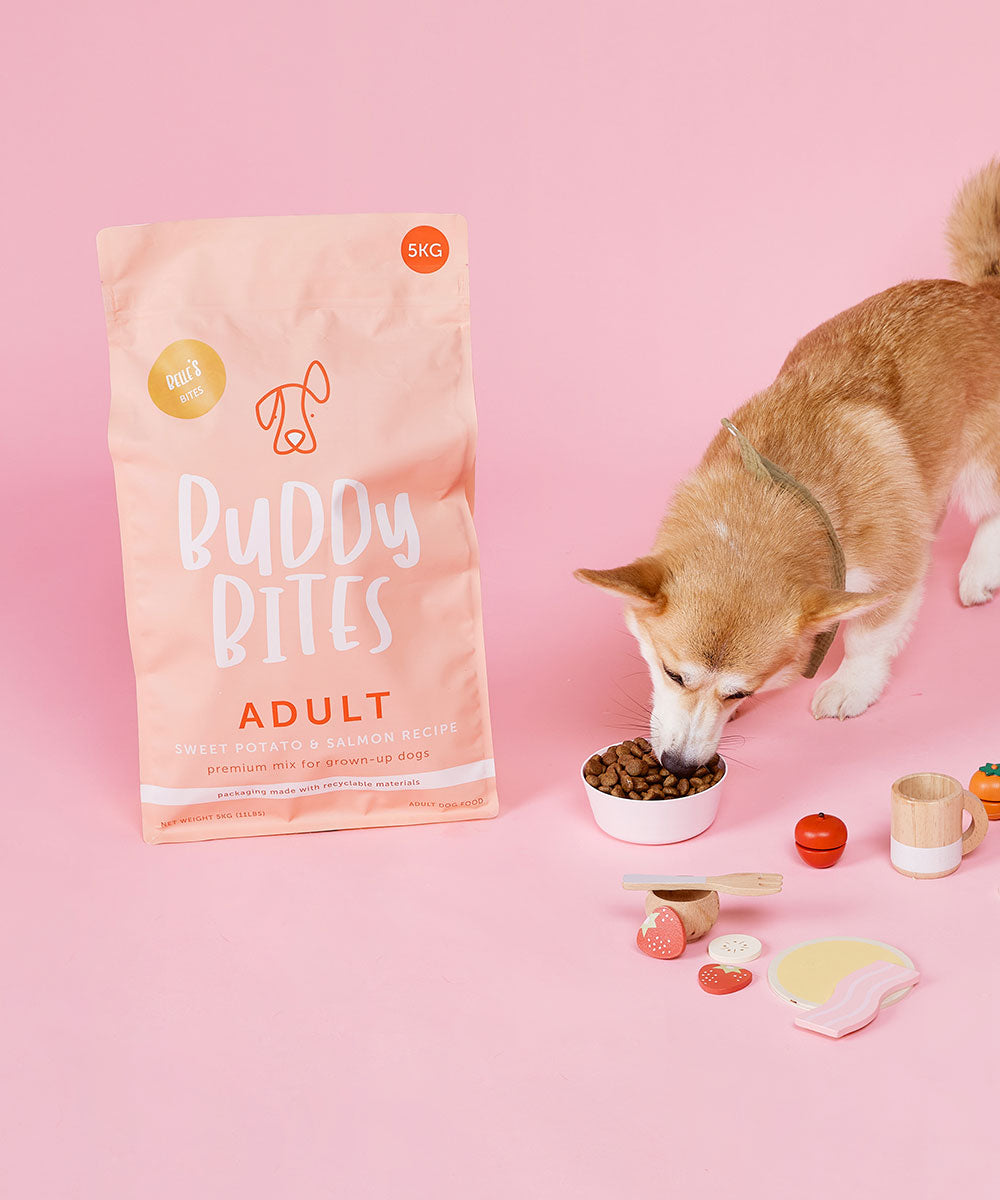 Adult Salmon Dry Food