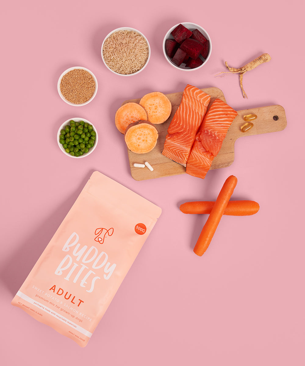 Adult Salmon Dry Food