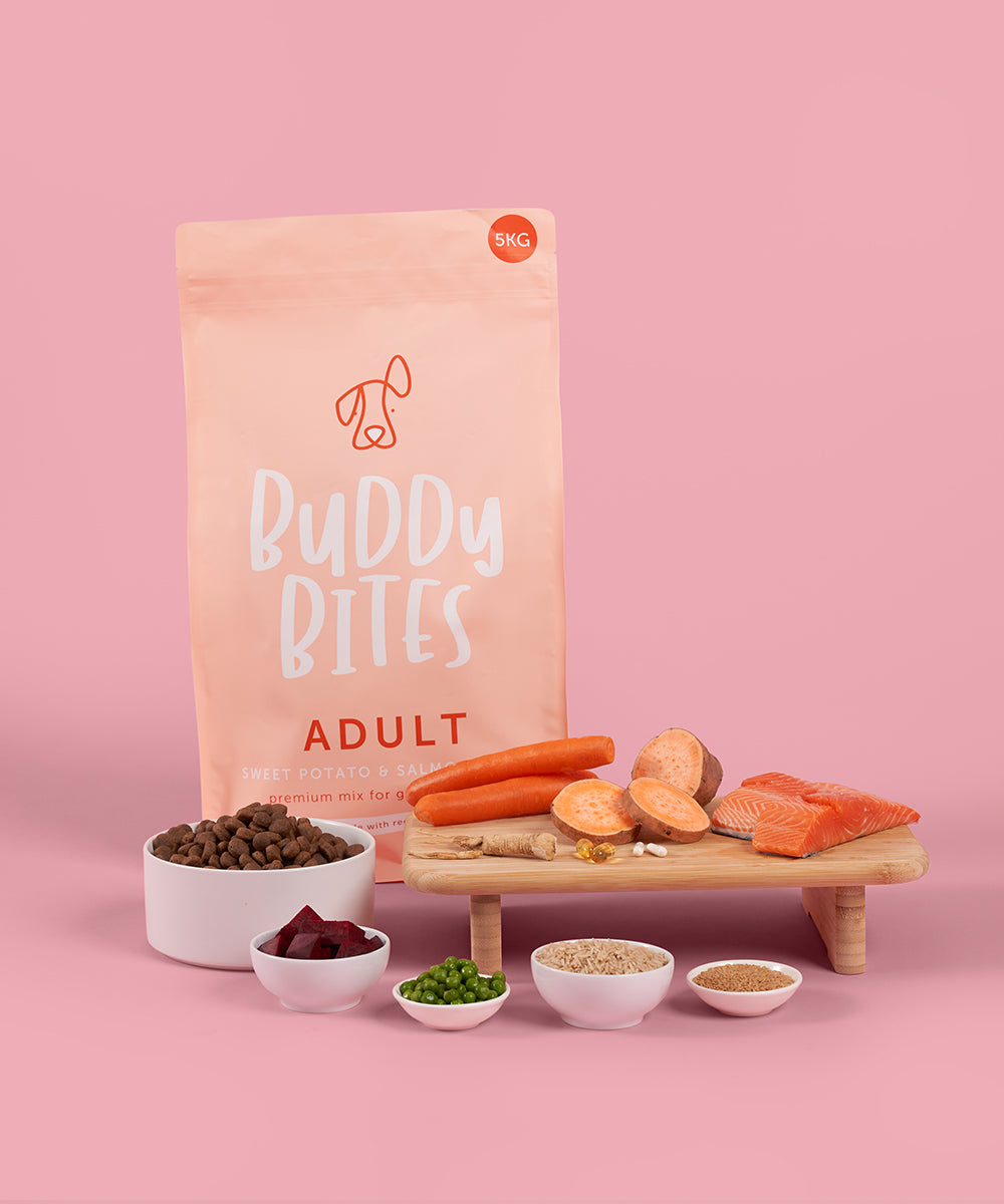 Adult Salmon Dry Food