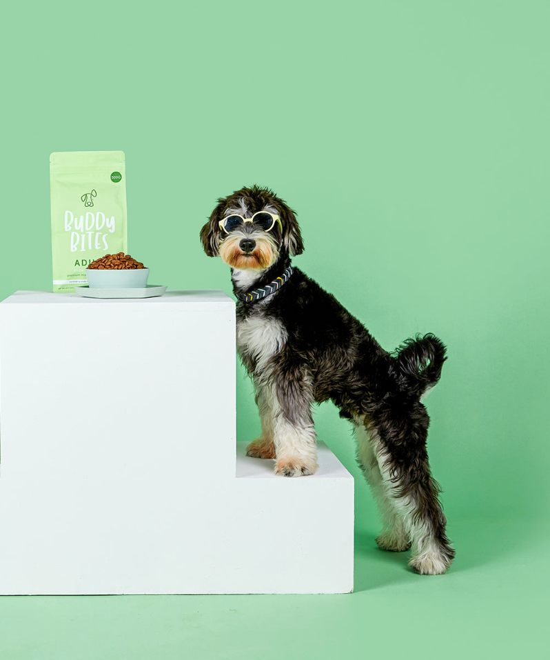 Premium Adult Duck Sample Starter Pack