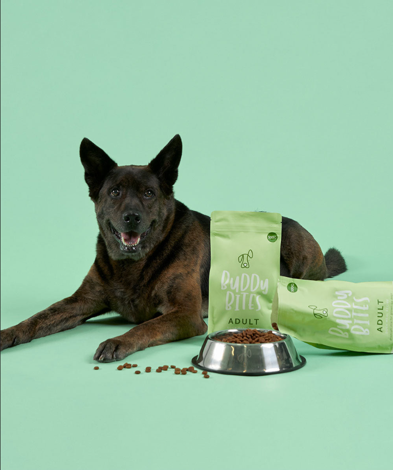 Premium Adult Duck Sample Starter Pack