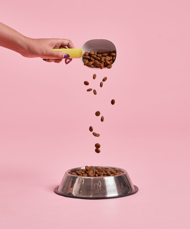 Premium Adult Salmon Starter Pack