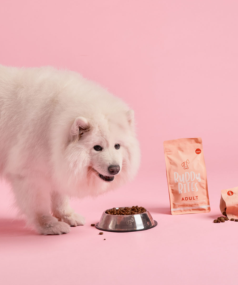 Premium Adult Salmon Starter Pack