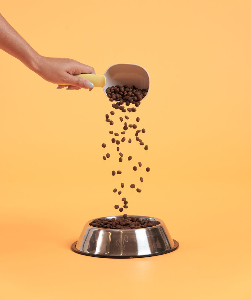 Premium Adult Turkey Sample Starter Pack