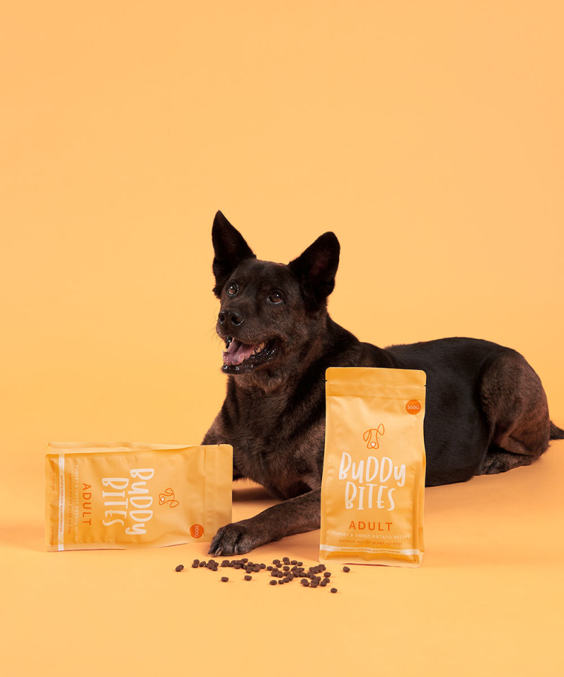 Premium Adult Turkey Sample Starter Pack