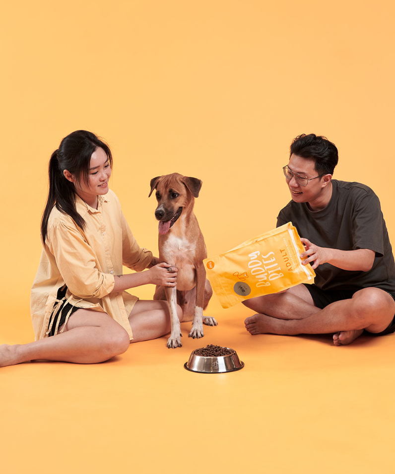 Premium Adult Turkey Sample Starter Pack