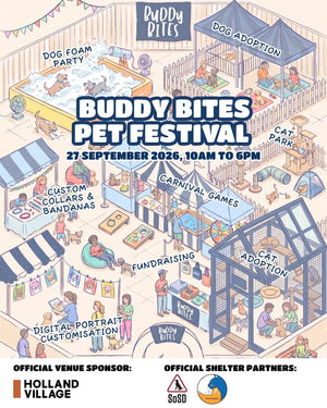 Play it Forward - A Buddy Bites Festival