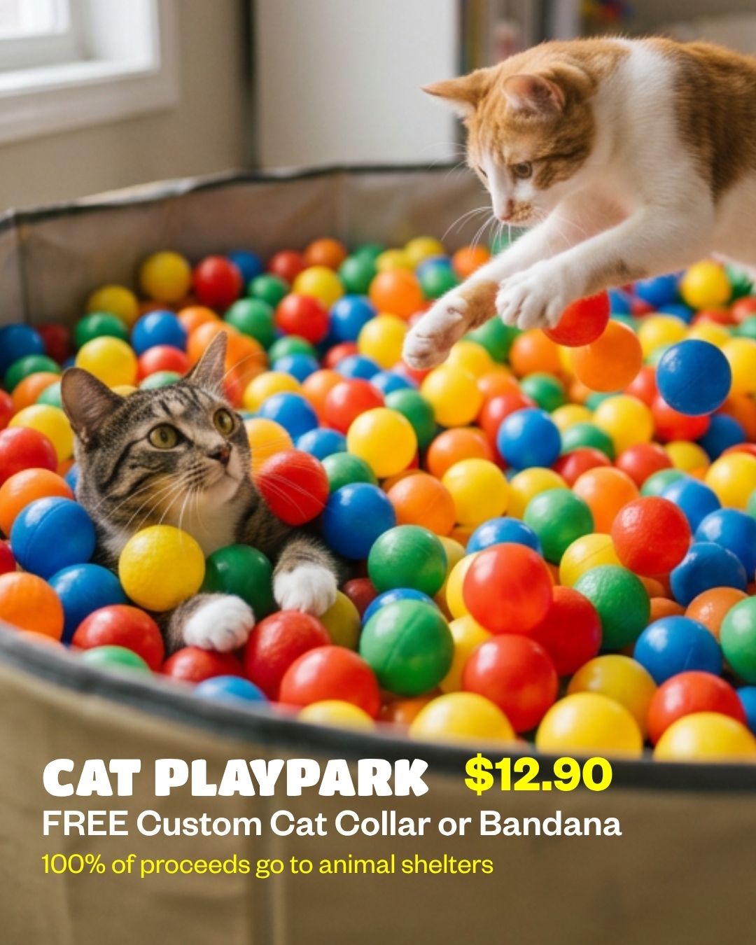 Play it Forward - A Buddy Bites Festival