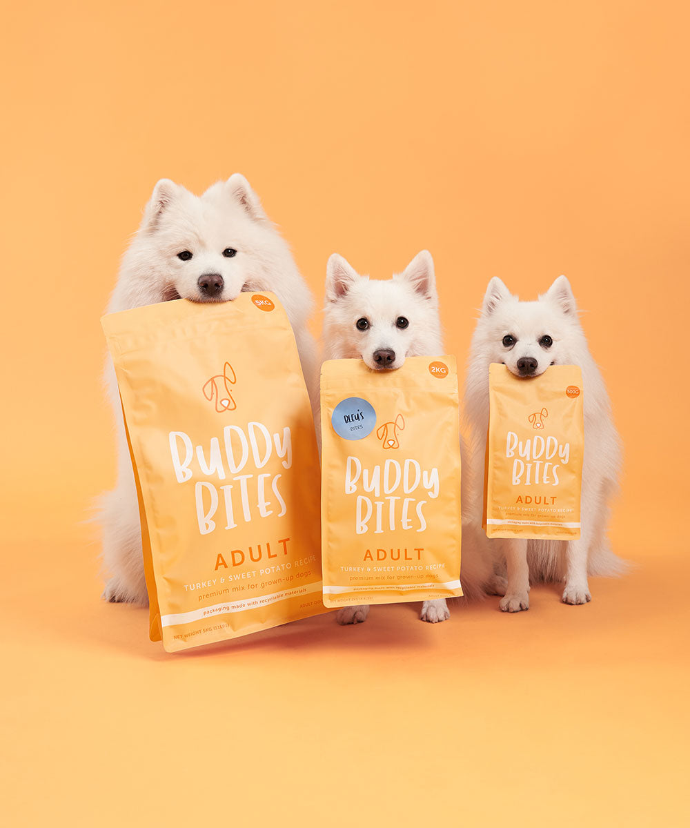 Adult Turkey Dry Food