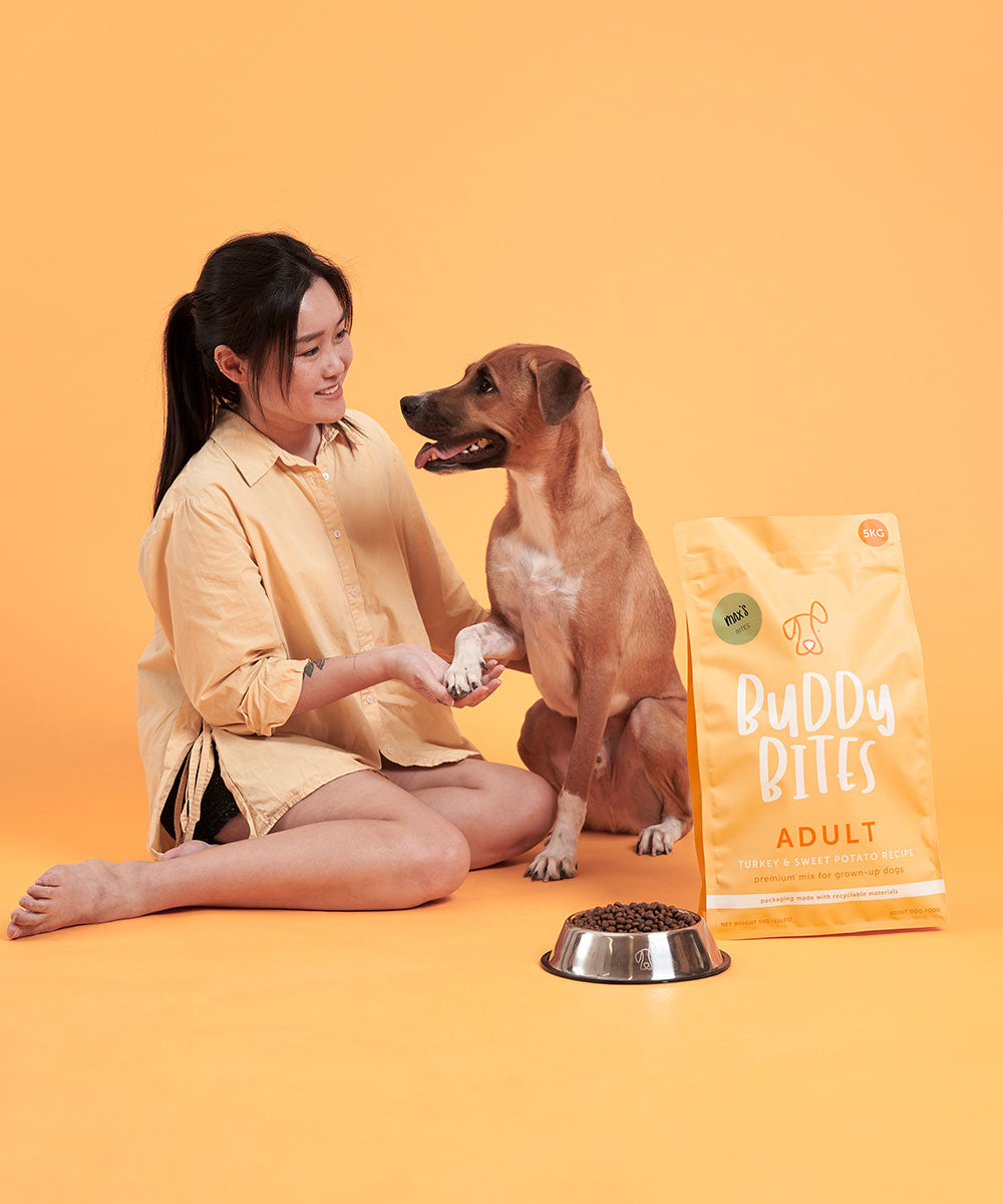 Adult Turkey Dry Food