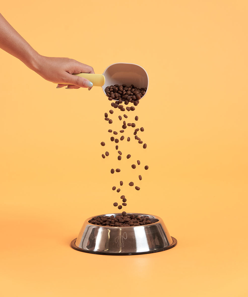 Adult Turkey Dry Food