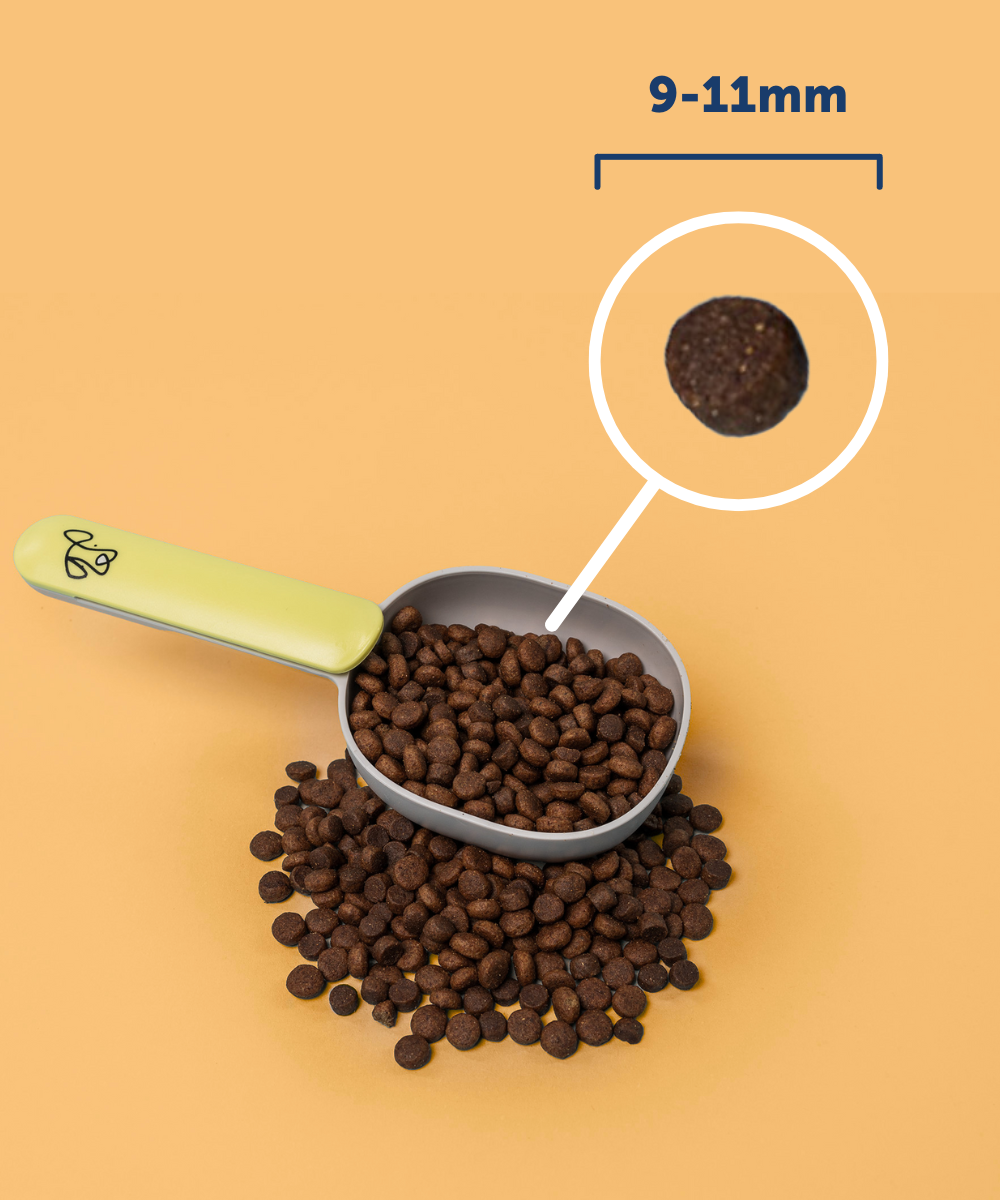 Adult Turkey Dry Food