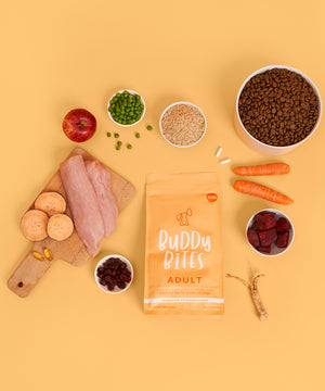 Adult Turkey Dry Food