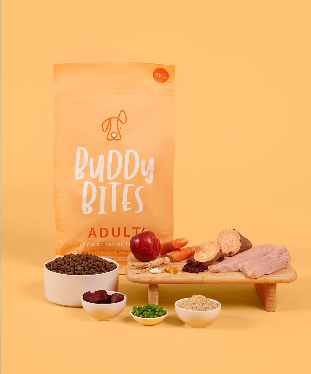 Adult Turkey Dry Food
