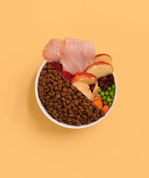 Adult Turkey Dry Food