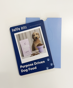 New Welcome Booklet (Dog)