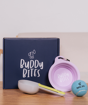 Full Welcome Box Kit (Dog)