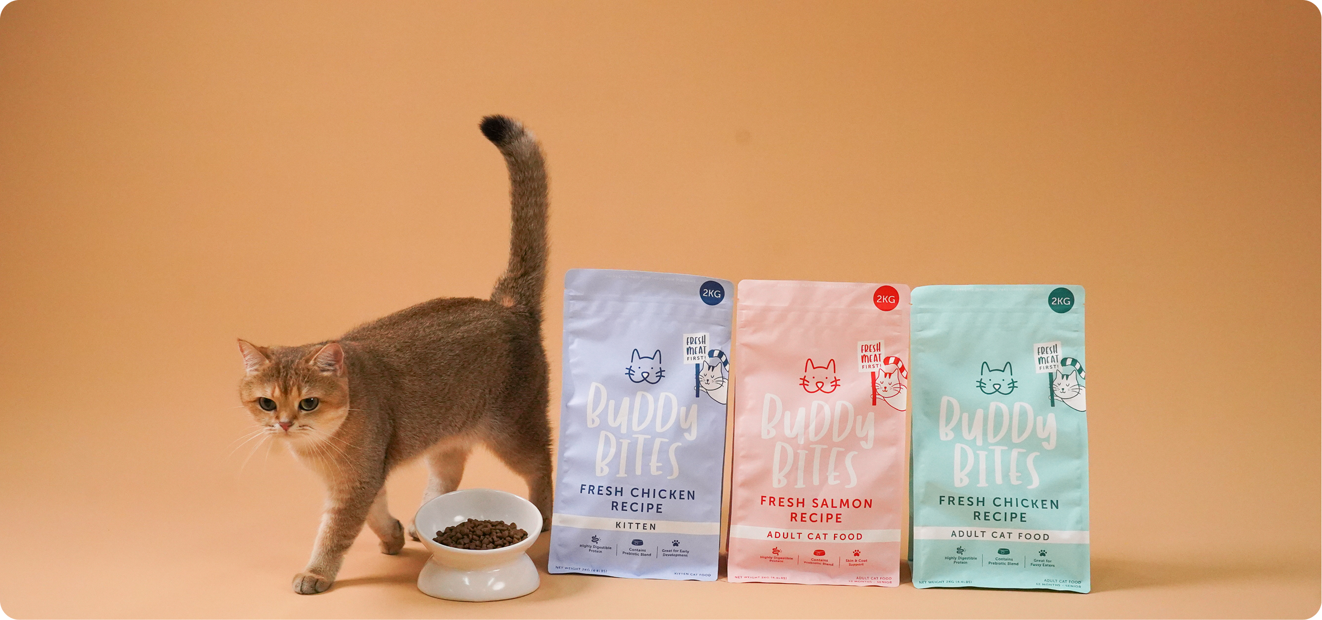All New Cat Line Image