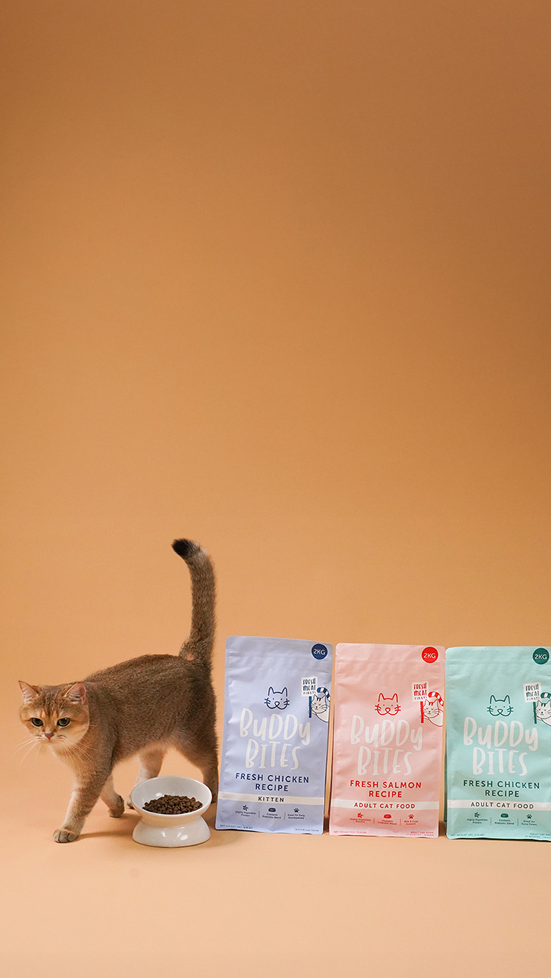 All New Cat Line Image