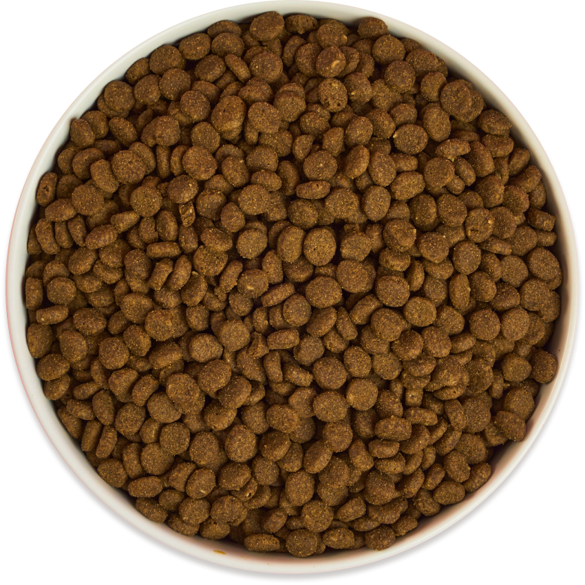 Benefits of Buddy Bites Bowl