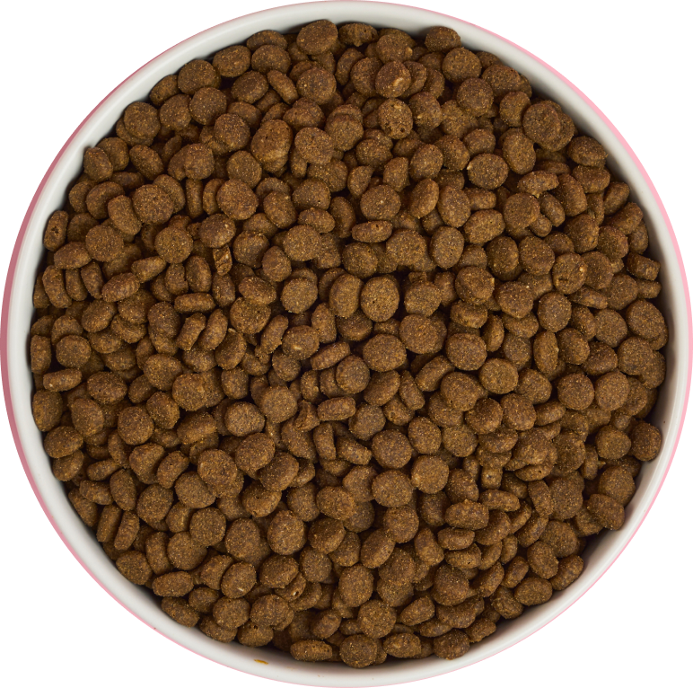 Cat Salmon Kibbles Recipe