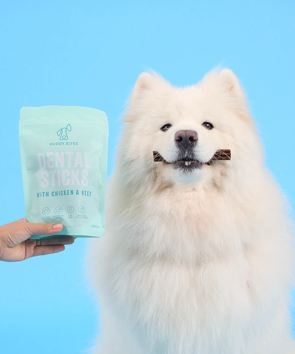 [Bundle] 3 Pack Dog Dental Sticks