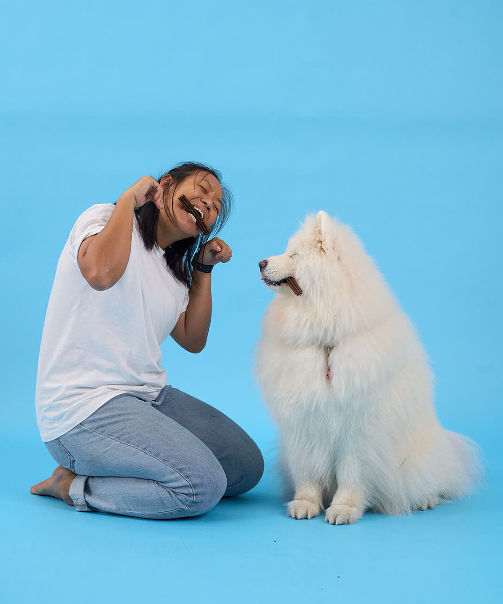 Buddy Bites Dental Sticks