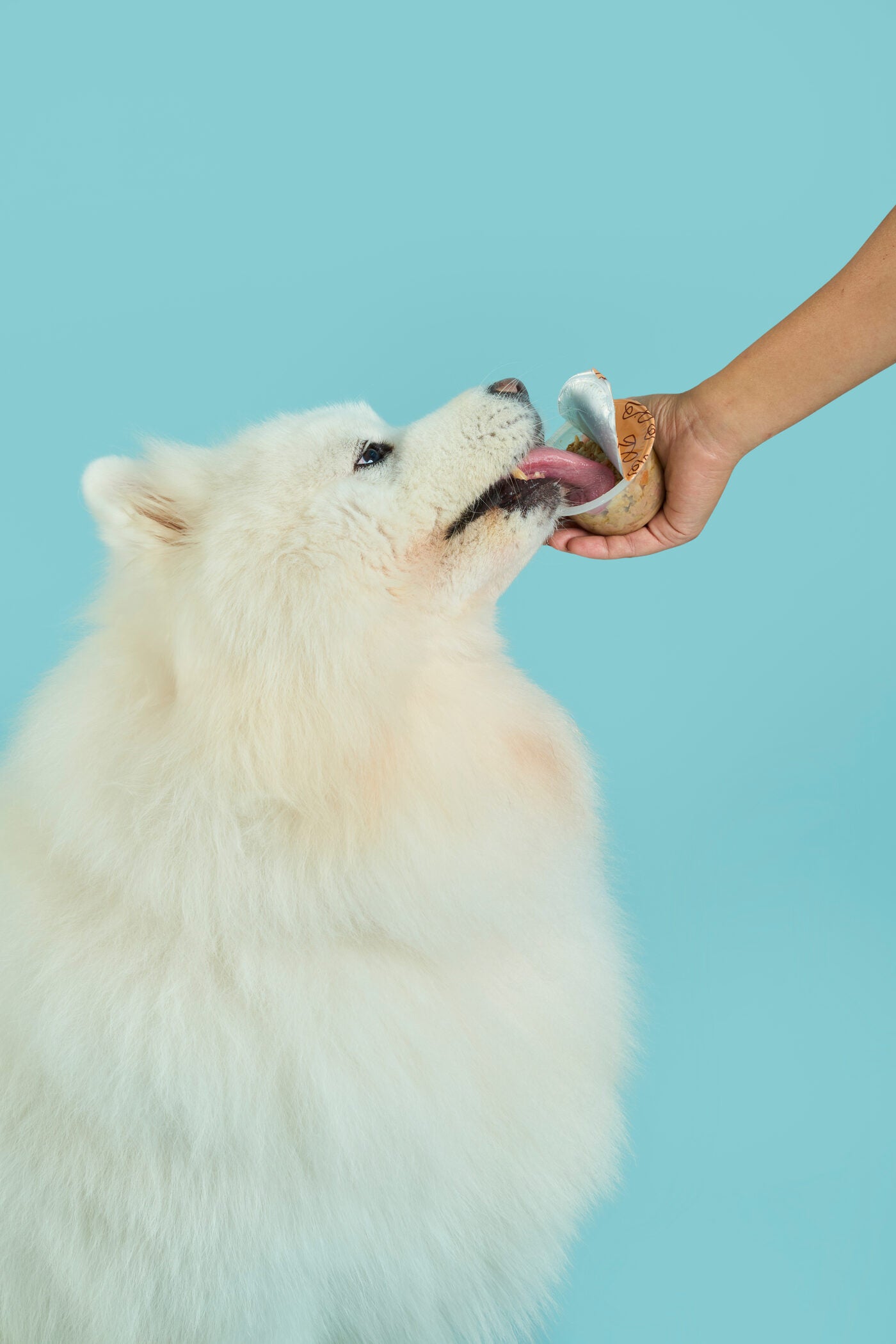 A dog licking a Fresh Toppers cup held out by hand