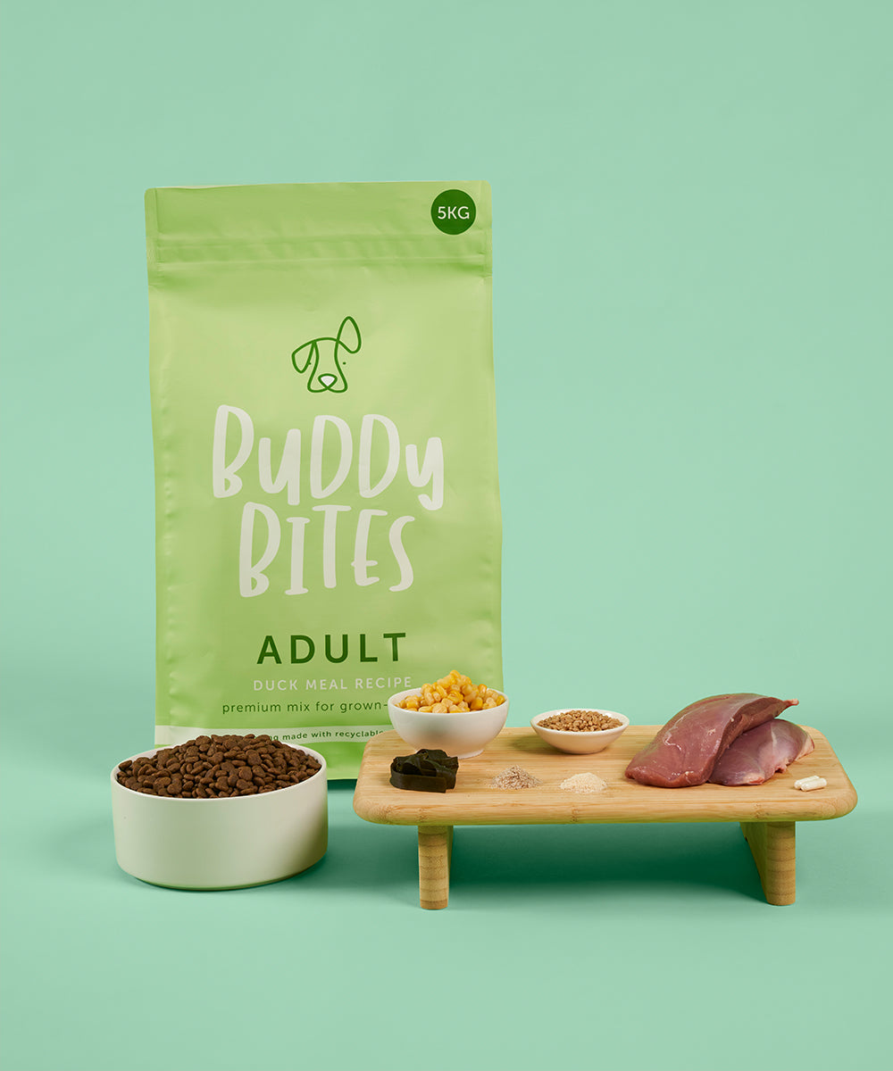 Adult Duck Dry Food