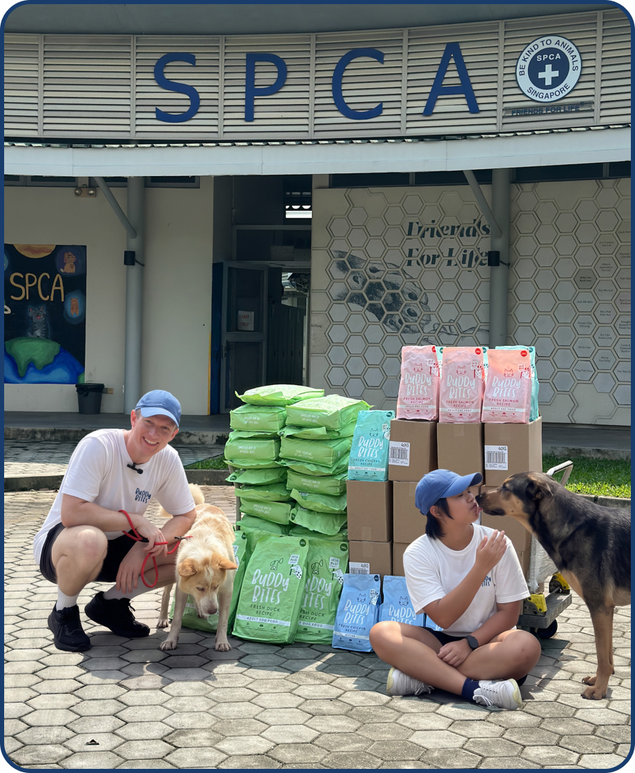 SPCA Singapore x Buddy Bites