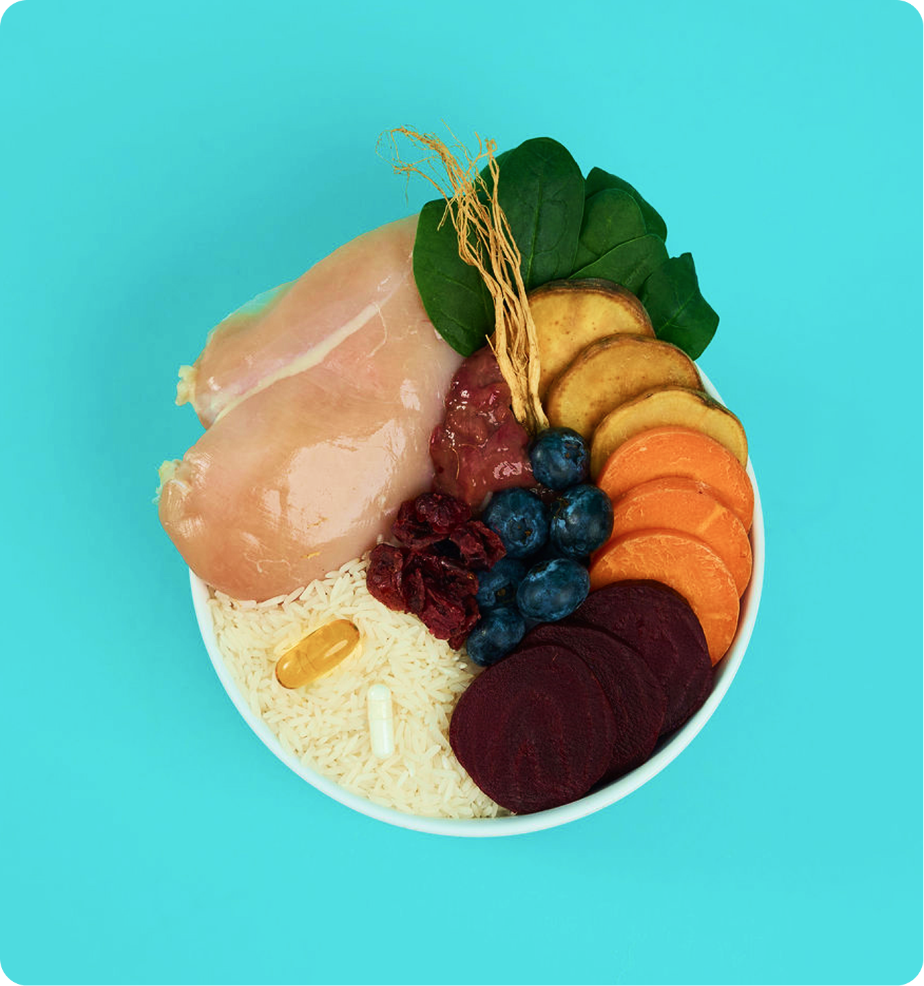 Kibbles Ingredients Poster Image