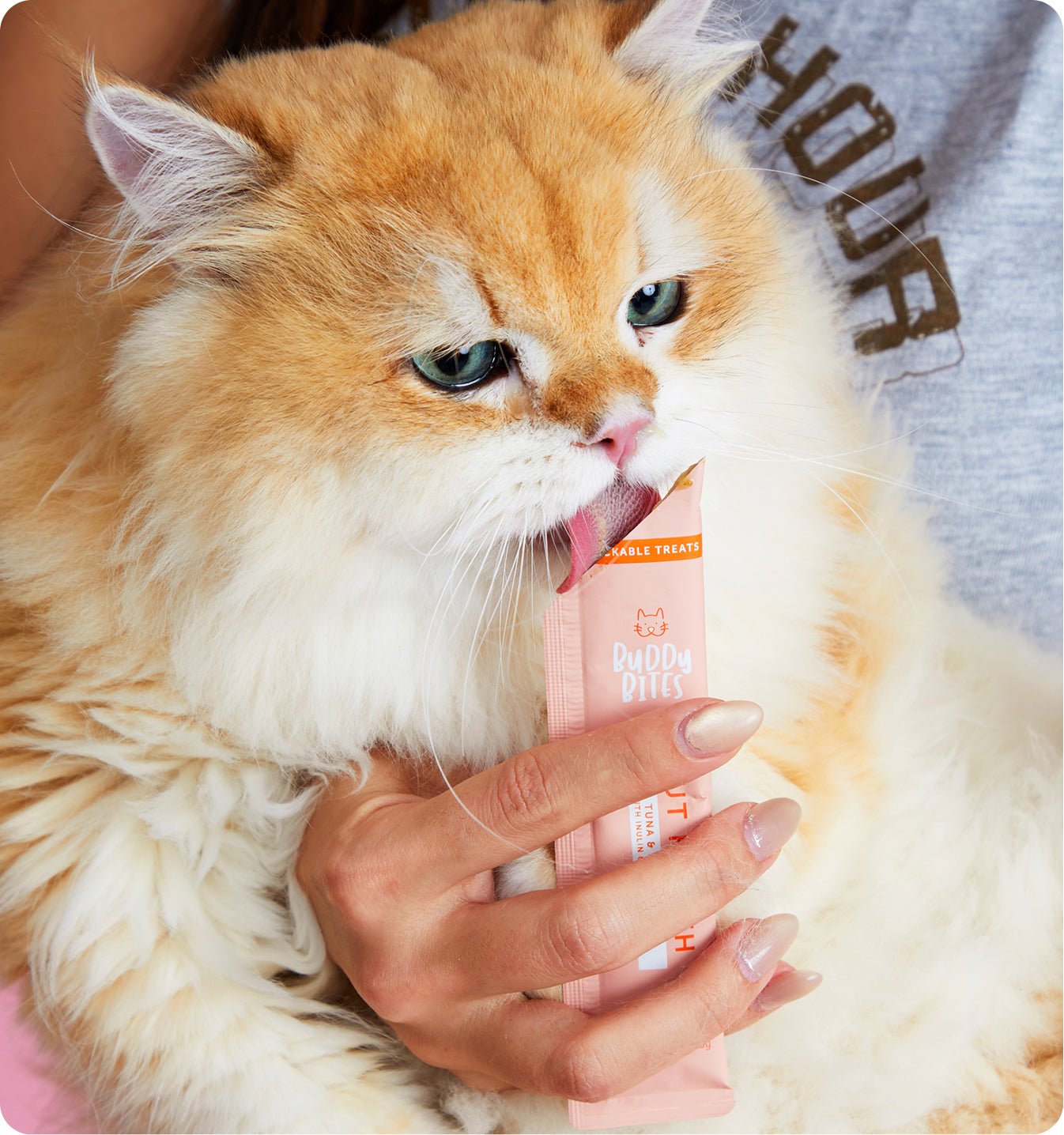 Kibbles Ingredients Poster Image