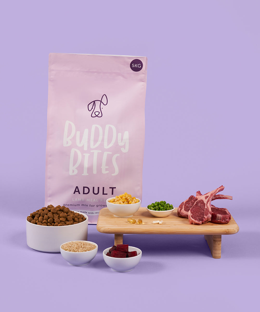 Adult Lamb Dry Food