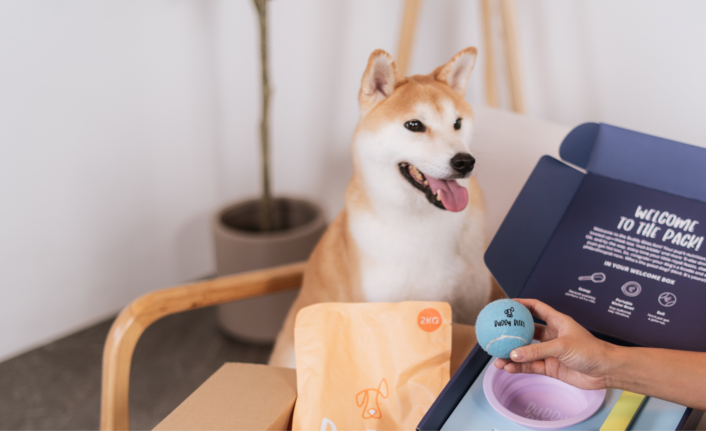 Loyalty Program Banner