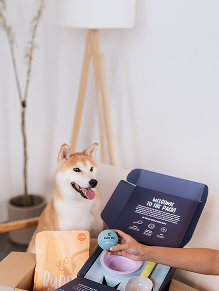 Loyalty Program Banner