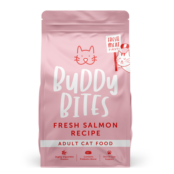 Adult Salmon Dry Cat Food