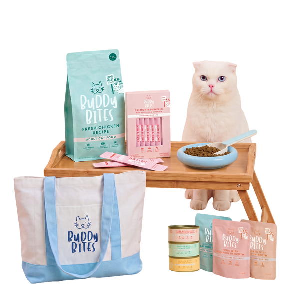 Cat Starter Box