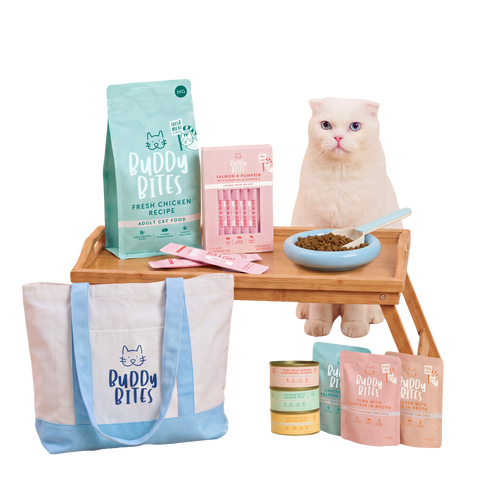 Cat Starter Box