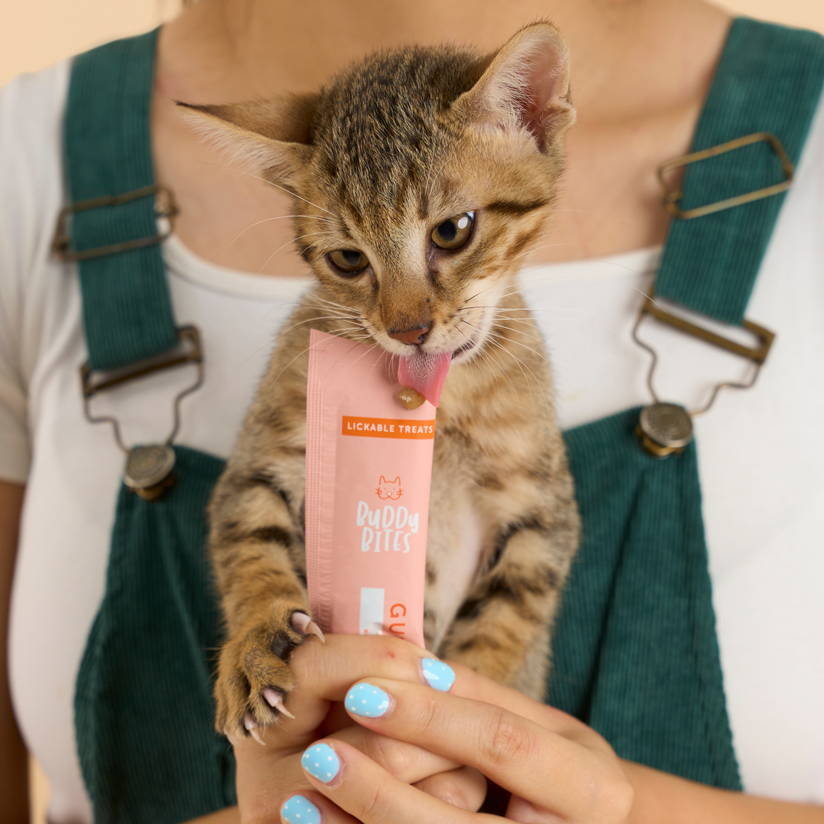 Cat Starter Box