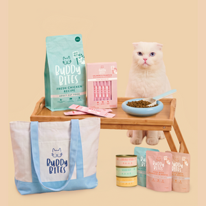 Cat Starter Box