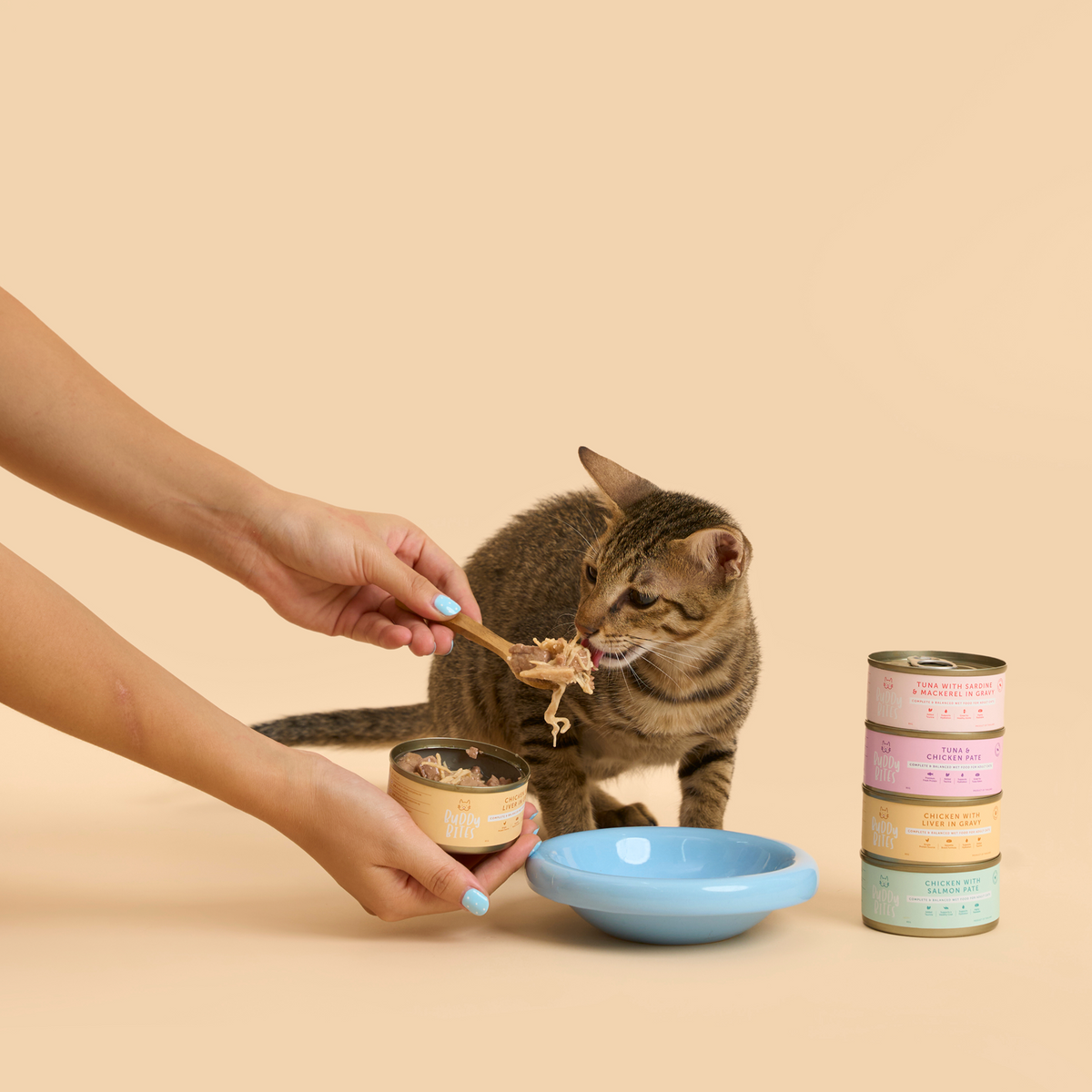 Cat Starter Box